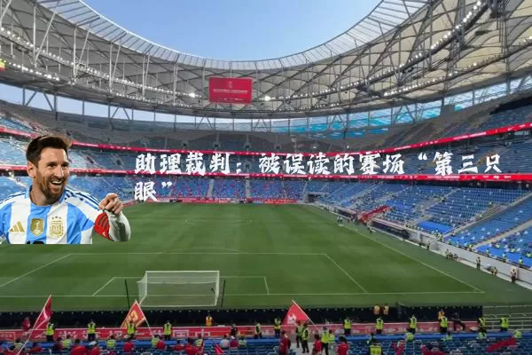 助理裁判：被误读的赛场“第三只眼”